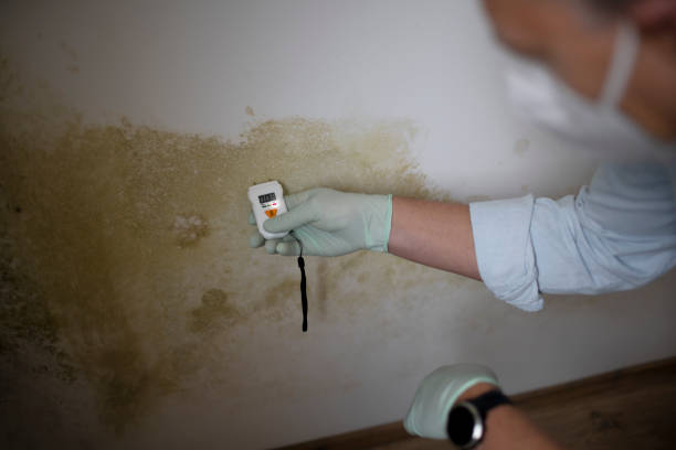 Best Biohazard Mold Removal  in Forsgate, NJ